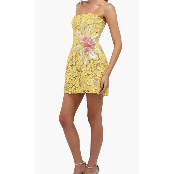 Helsi Elena Strapless 3D Floral Structured Lace Mini Dress XL - Picture 6 of 12
